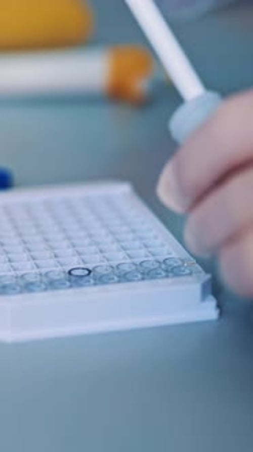 Science laboratory research. Close up view of scientist holds and examine samples
