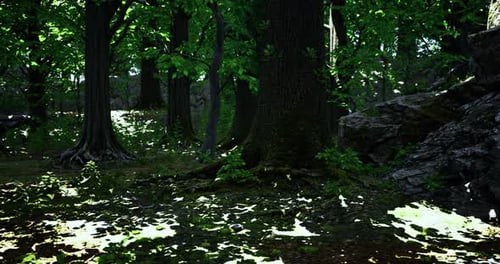 Lush Green Forest with Sunlight Filtering Through Trees in a Tranquil Setting