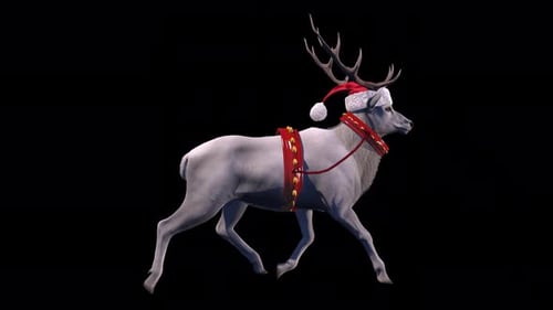White reindeer in a Christmas harness and in a Santa Claus hat on transparent background
