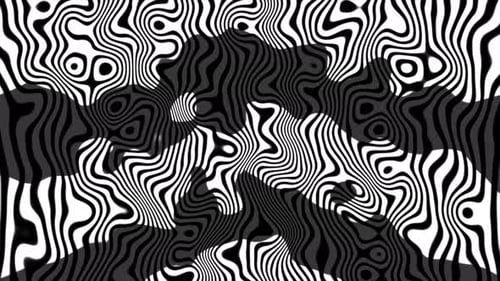 Black and White Abstract Flowing Wave Pattern Background
