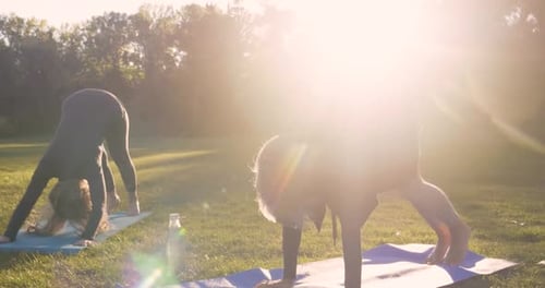 Women Practicing Yoga Downward Facing Dog Pose in Sunny Park 4549 Years