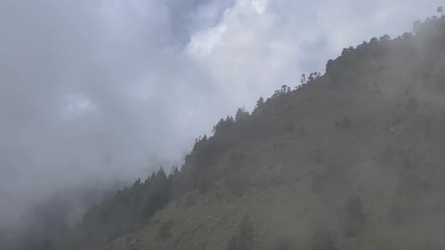 Pull back in midlle of fog, above pasture lands in mountain