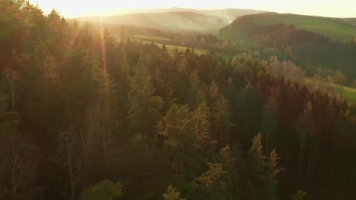 Panorama époustouflant révélant une vallée majestueuse baignée par les teintes dorées du soleil