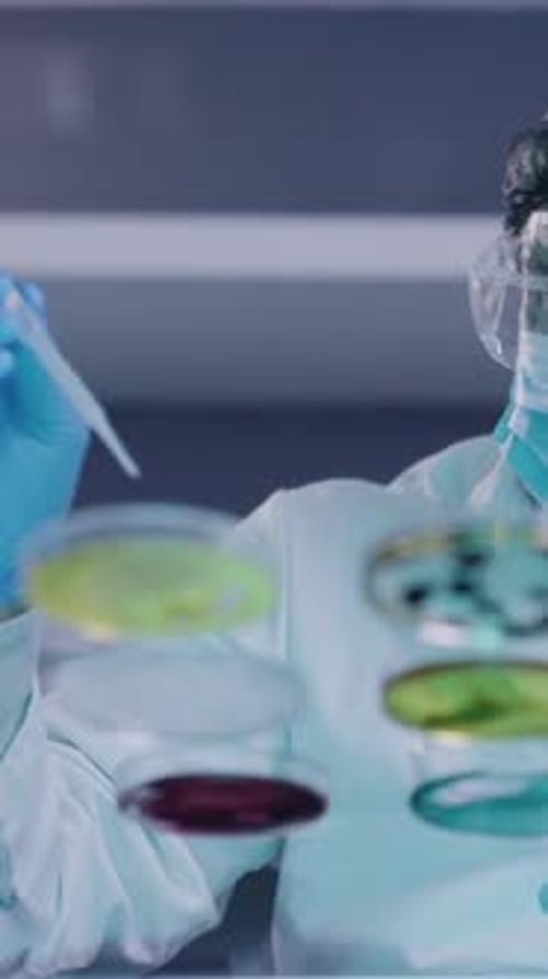 Scientist With Petri Dishes Examining Samples in Lab