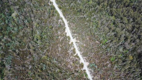 Aerial view of ridge top Cerberus Rd through dense Victoria forest
