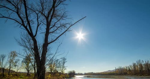 Mountain River Timelapse at the Summer or Autumn Day Time Wild Nature Clear Blue Water and Dry Trees