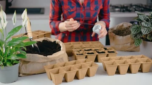Farmer Planting Vegetable Seeds in Fertile Soil at Home Closeup of Girl Seeding Indoor Ground