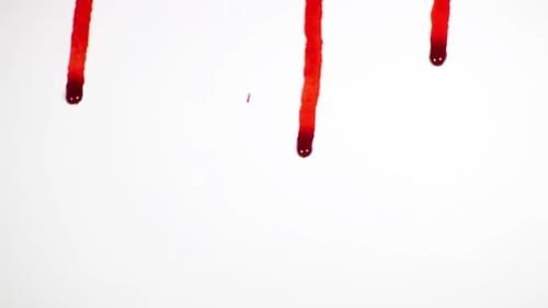 Blood Droplets On White Background Dripping Down White Surface.