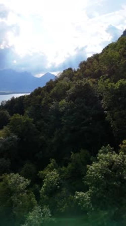 Swiss Alps forested mountain slope Lake Walen Switzerland countryside aerial drone