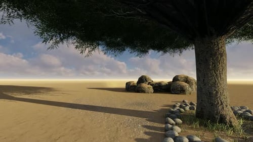 Amazing Desert