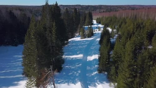 Skolk (721)Sunny day in winter forest. Clip. Aerial view of a long road on snow covered ground among