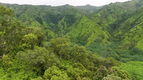 Aerial view of lush green mountains and valley, United States.