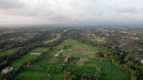 Aerial Shot of Villas in Palm Trees Jungle Rainforest Village in Ubud Bali Indonesia