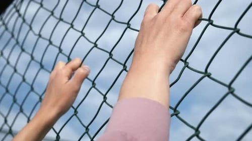 Hands Gripping Green Wire Fence, Blue Sky