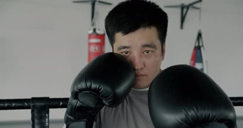 Slow Motion Portrait of Young Asian Man Boxer Standing in Corner Wearing Gloves Ready to Fight