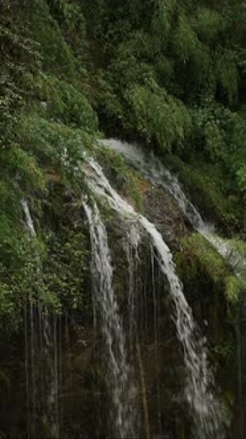 Vertical Rugged Mountain Waterfall, Vertical Nature Video for Social Media Instagram Reels and Tikto