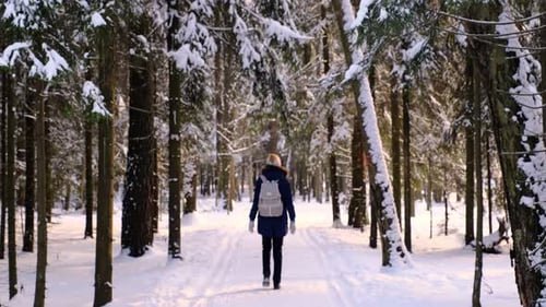 Female in Winter Clothes and Rucksack Walking on Rural Road Surrounded By Coniferous Forest Trees