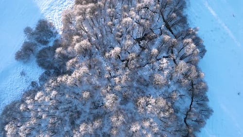 An overhead view of a forest blanketed in snow, showcasing the serene winter landscape. Topdown