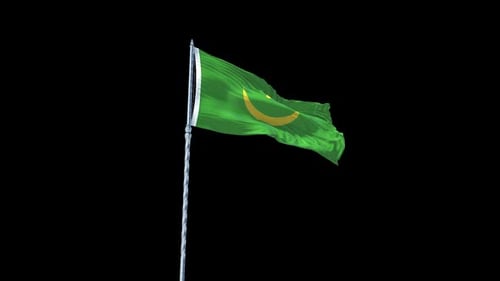 Waving Green Flag with Crescent Moon and Star