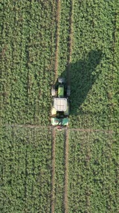 Tractor Sprays The Field Top View
