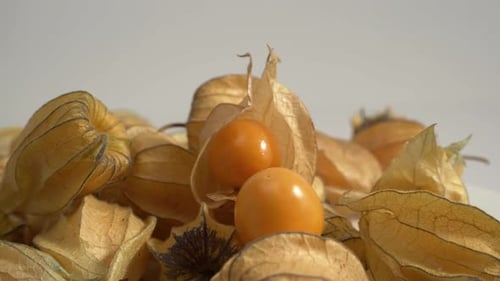 Kapstachelbeere, Physalis isoliert auf weißem Hintergrund.