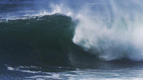 Crashing Ocean Wave on Sunny Day