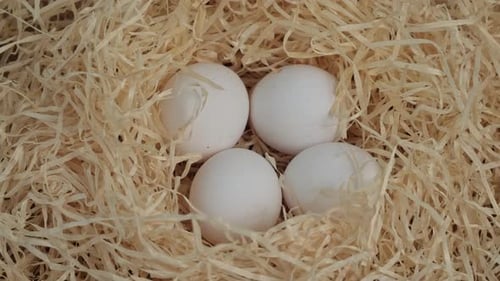Weiße Hühnereier auf dem Heu. Rotation im Hintergrund des Osterfeiertagskonzepts