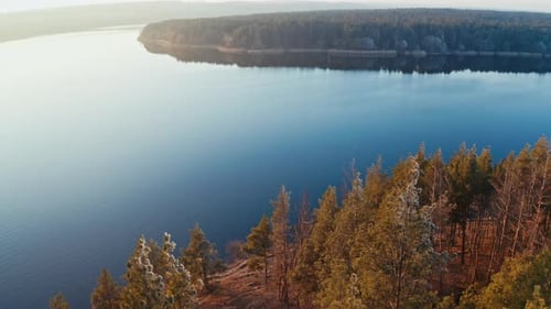 Flight over the river and forest. Flying above river with forests and fields around