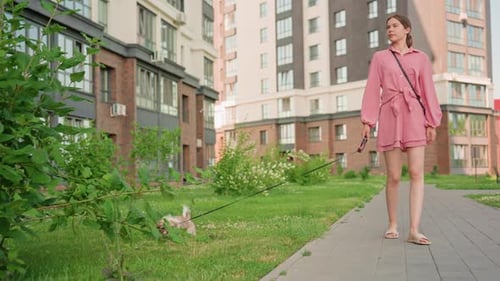 Woman walks dog in sunny residential area
