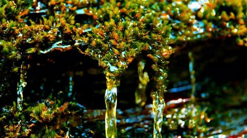 Water Drop Falling