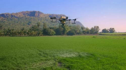 Agricultural Drone Flying Over Green Farmland