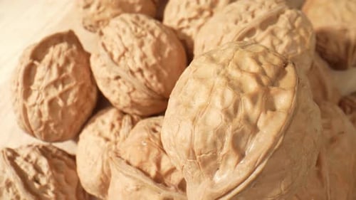 Pile of Walnuts on a Wooden Surface