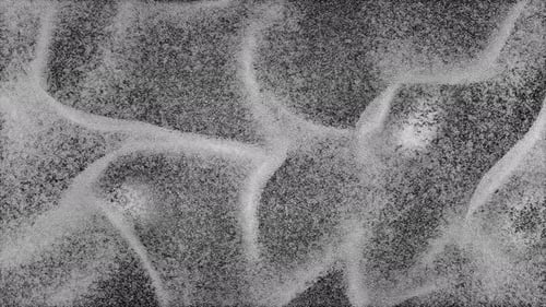 Abstract Black and White Cymatic Sound Wave Vibration Pattern Design