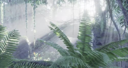 Sunlight Filters Through Lush Ferns in a Tranquil Forest During Early Morning