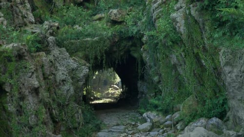 A Mosscovered Tunnel Nestled in the Heart of a Tropical Jungle Mountain Path