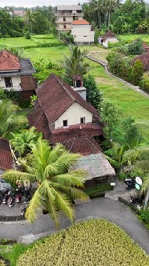 Tropical Village Aerial View with Lush Rice Fields