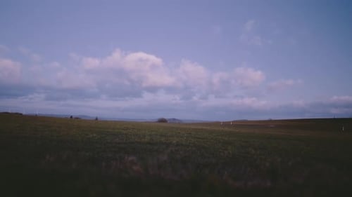 Timelapse of Cars Driving Past Grassy Rural Field
