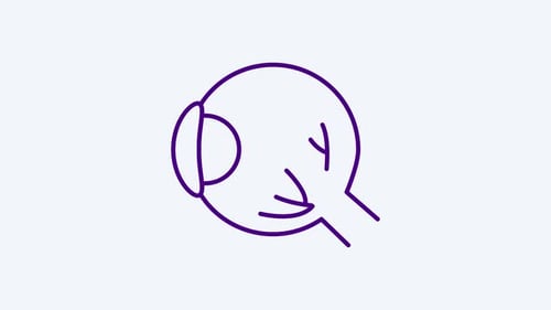Minimalist Animated Human Eye Anatomy Line Icon