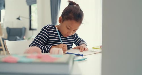 Girl Writes in Notebook at Home