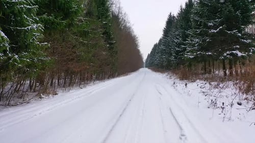Straight road covered with snow in the forest. Nature scenery along long road in winter season.