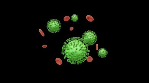 3D Medical Animation of Microscopic Viruses and Cells