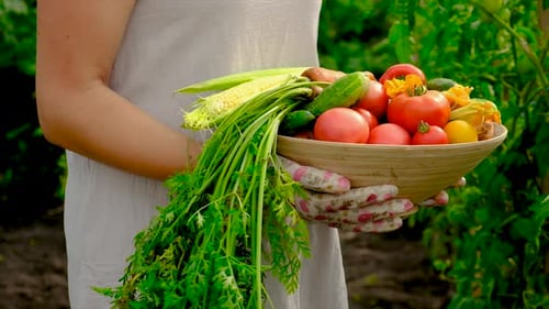 Woman Holds Fresh Vegetables in Bowl in Garden