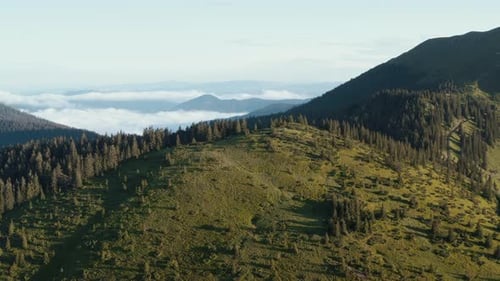 Flying up in the sky. Majestic Carpathian Mountains. Beautiful landscape of untouched nature