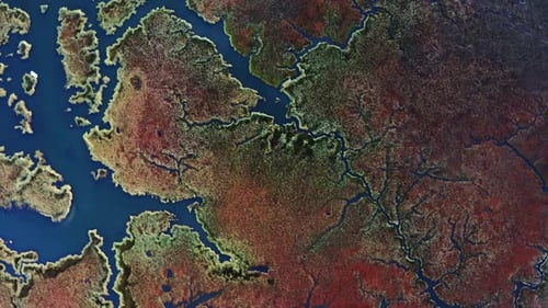 Aerial view of Dalyan Delta from the top. An aerial view of the reeds that become colorful in autumn