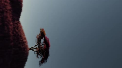 Furry Organic Plant Growth Abstract Motion Background