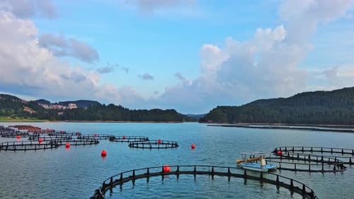 Fishing Cages for Breeding Fish in Lake in Mountain Valley of Rhodope Mountains Under Cloudy Sky