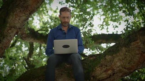 Man Working on Laptop Sitting in a Tree