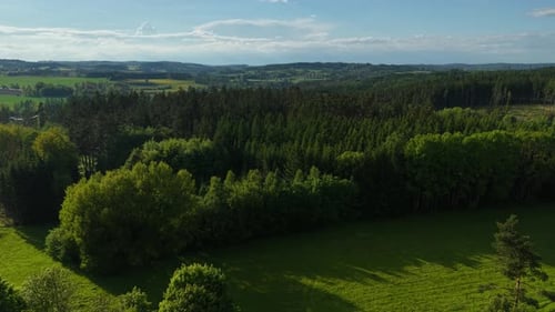 Green Meadow Meeting Dense Forest Under Sunny Blue Sky Vibrant Trees Stretching Across Rolling