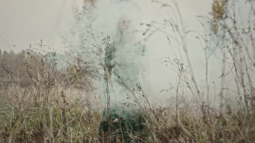 Blonde woman elegantly posing amidst swirling smoke in a tranquil field