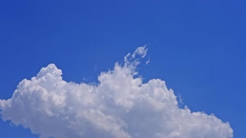 Fluffy White Cloud Drifting Slowly Against Blue Sky